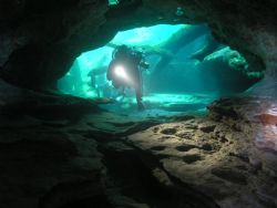Dive buddy in cavern blue springs orange city FL. camera ... by Ray Eccleston 